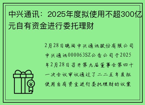 中兴通讯：2025年度拟使用不超300亿元自有资金进行委托理财