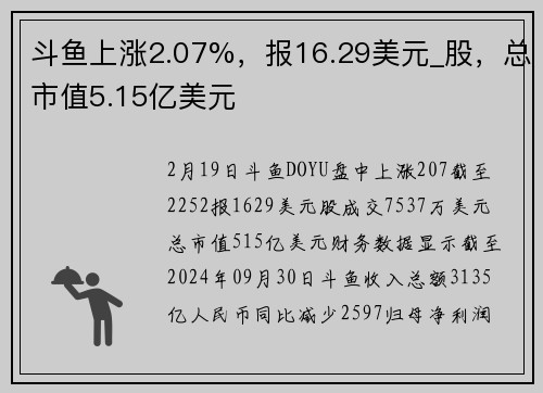 斗鱼上涨2.07%，报16.29美元_股，总市值5.15亿美元