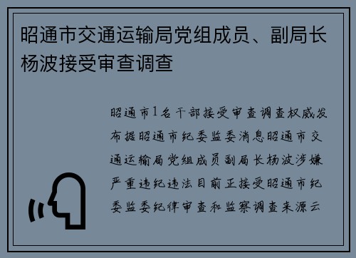 昭通市交通运输局党组成员、副局长杨波接受审查调查