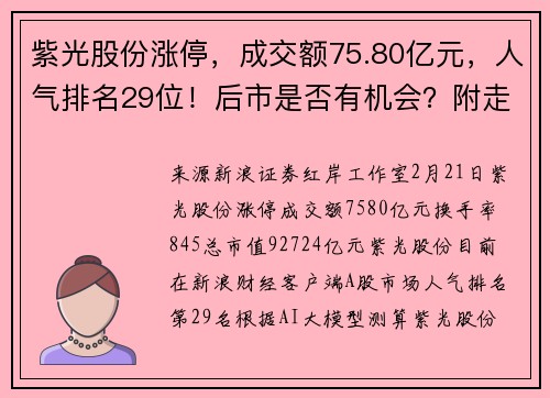 紫光股份涨停，成交额75.80亿元，人气排名29位！后市是否有机会？附走势预测