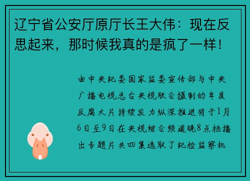 辽宁省公安厅原厅长王大伟：现在反思起来，那时候我真的是疯了一样！