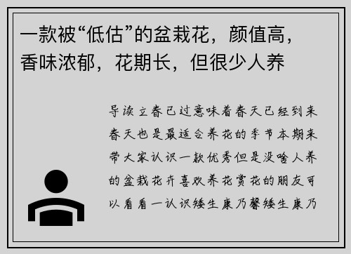 一款被“低估”的盆栽花，颜值高，香味浓郁，花期长，但很少人养