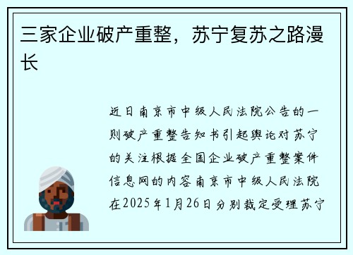 三家企业破产重整，苏宁复苏之路漫长