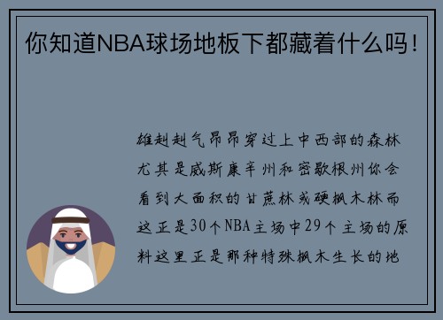 你知道NBA球场地板下都藏着什么吗！